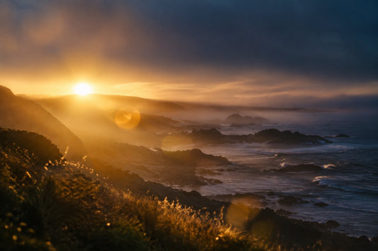 First Light: The Simple Daily Reset for Energy and Sleep