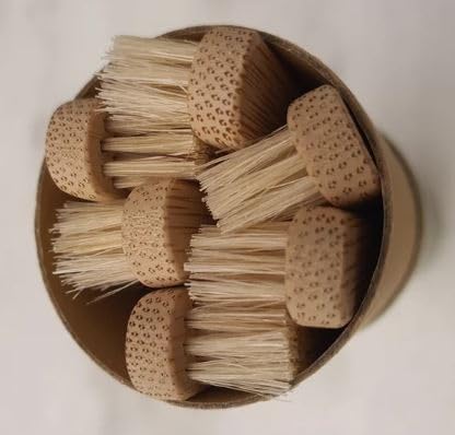Gaia Guy 100% Natural Boar Bristle Bamboo Toothbrush (6-Pack)