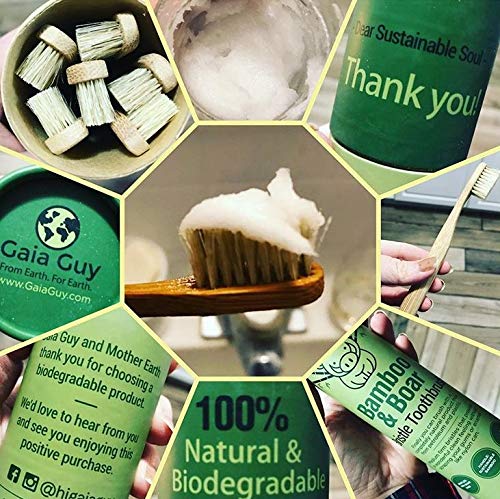 Gaia Guy 100% Natural Boar Bristle Bamboo Toothbrush (6-Pack)