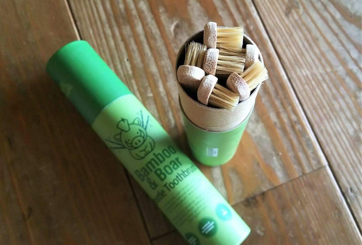 Gaia Guy 100% Natural Boar Bristle Bamboo Toothbrush (6-Pack)