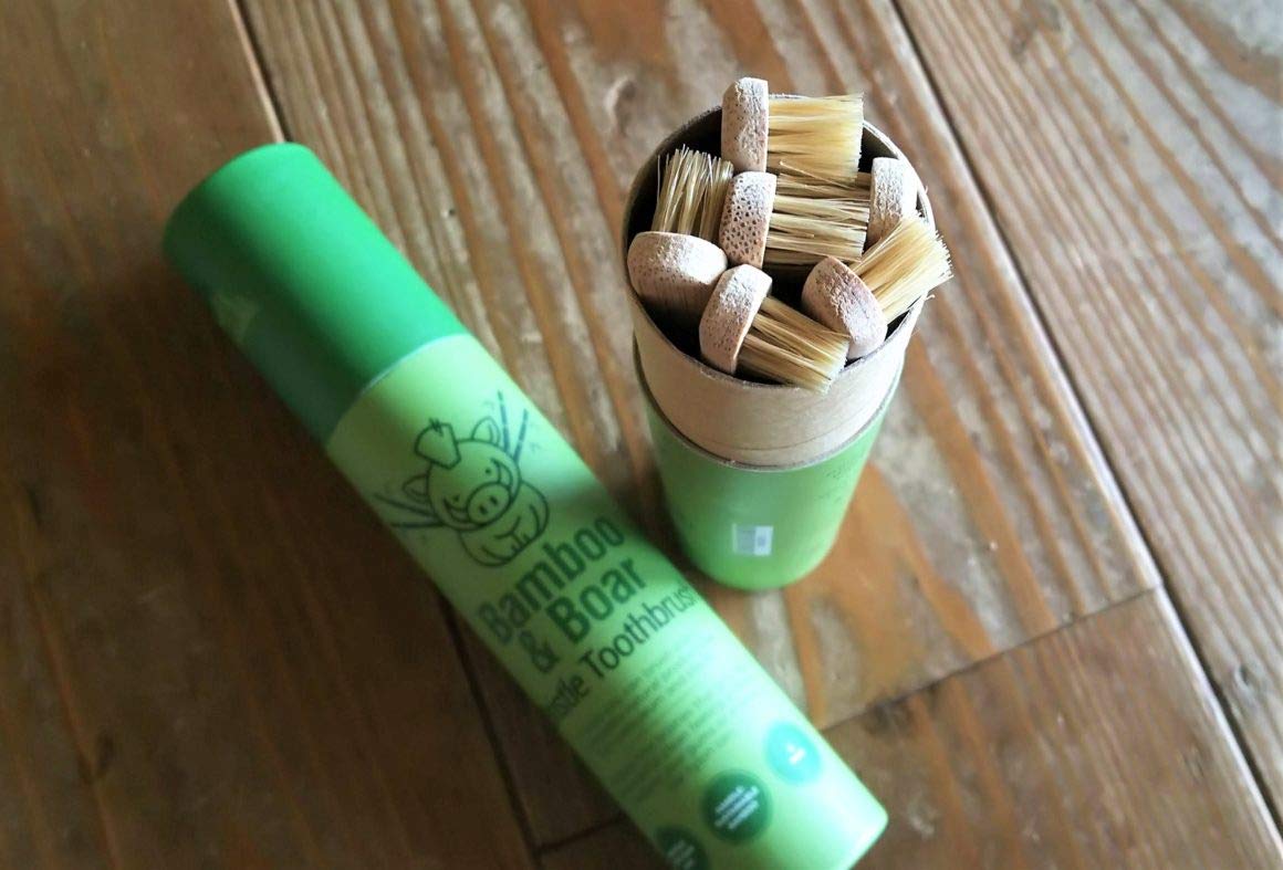 Gaia Guy 100% Natural Boar Bristle Bamboo Toothbrush (6-Pack)