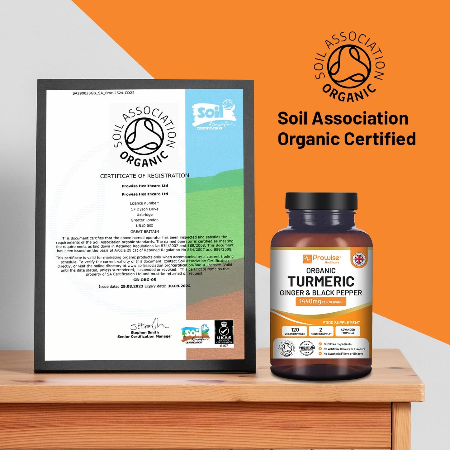 Prowise Healthcare Turmeric Curcumin 1440mg with Black Pepper & Ginger (120 Vegan Capsules)