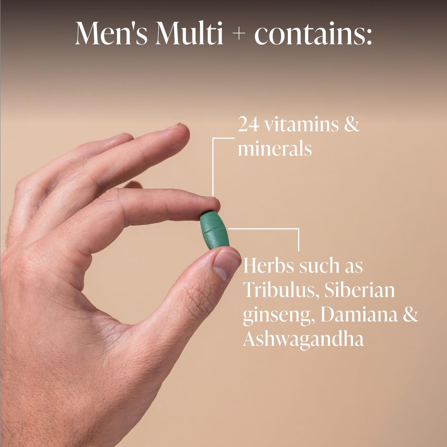 Herbs of Gold Men's Multi + (60 Tablets)