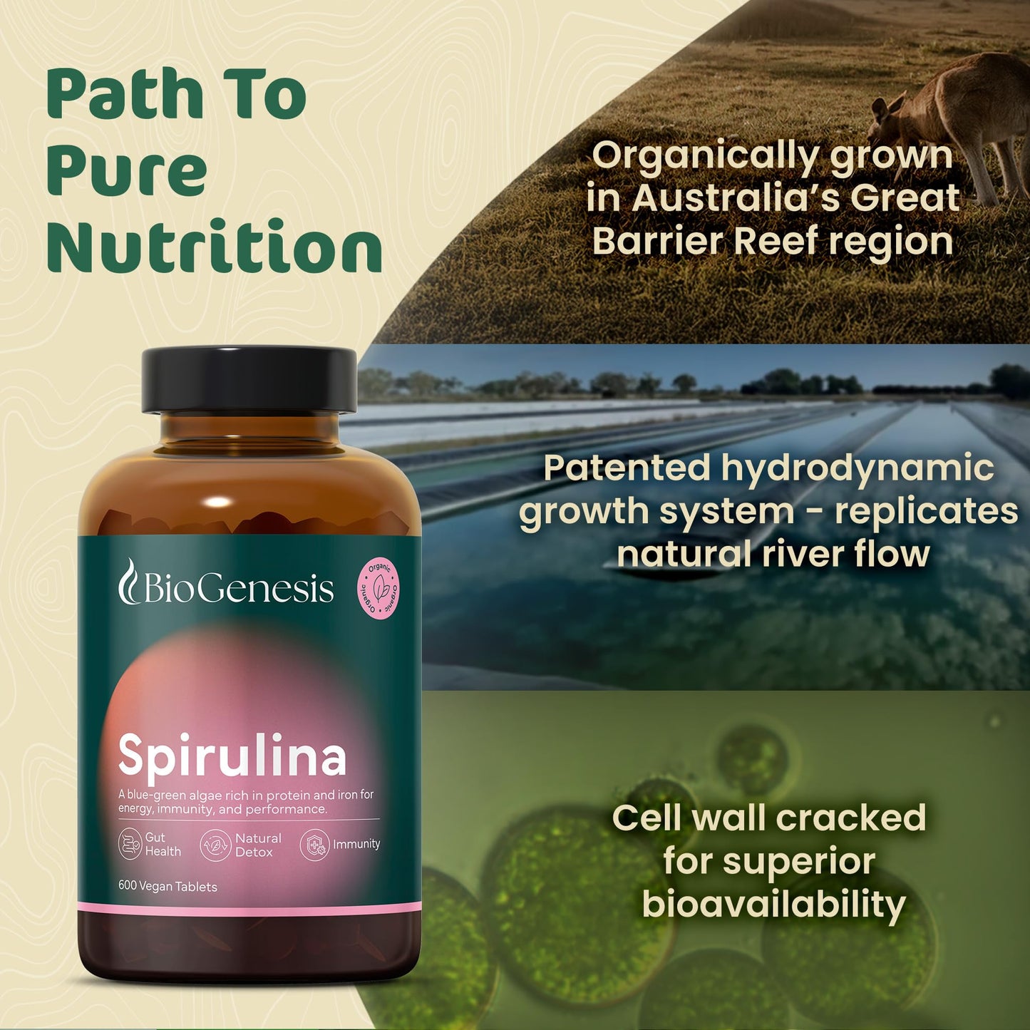 BioGenesis Organic Spirulina Tablets (600 Count)