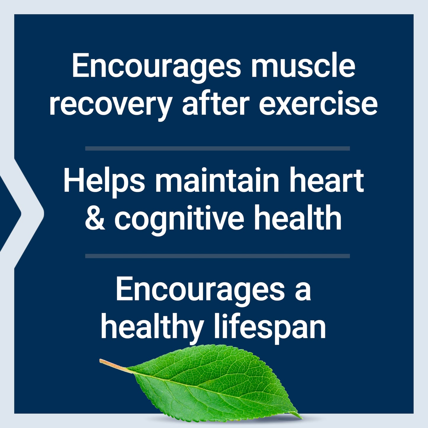 Life Extension Taurine 1000 mg (90 Vegetarian Capsules)