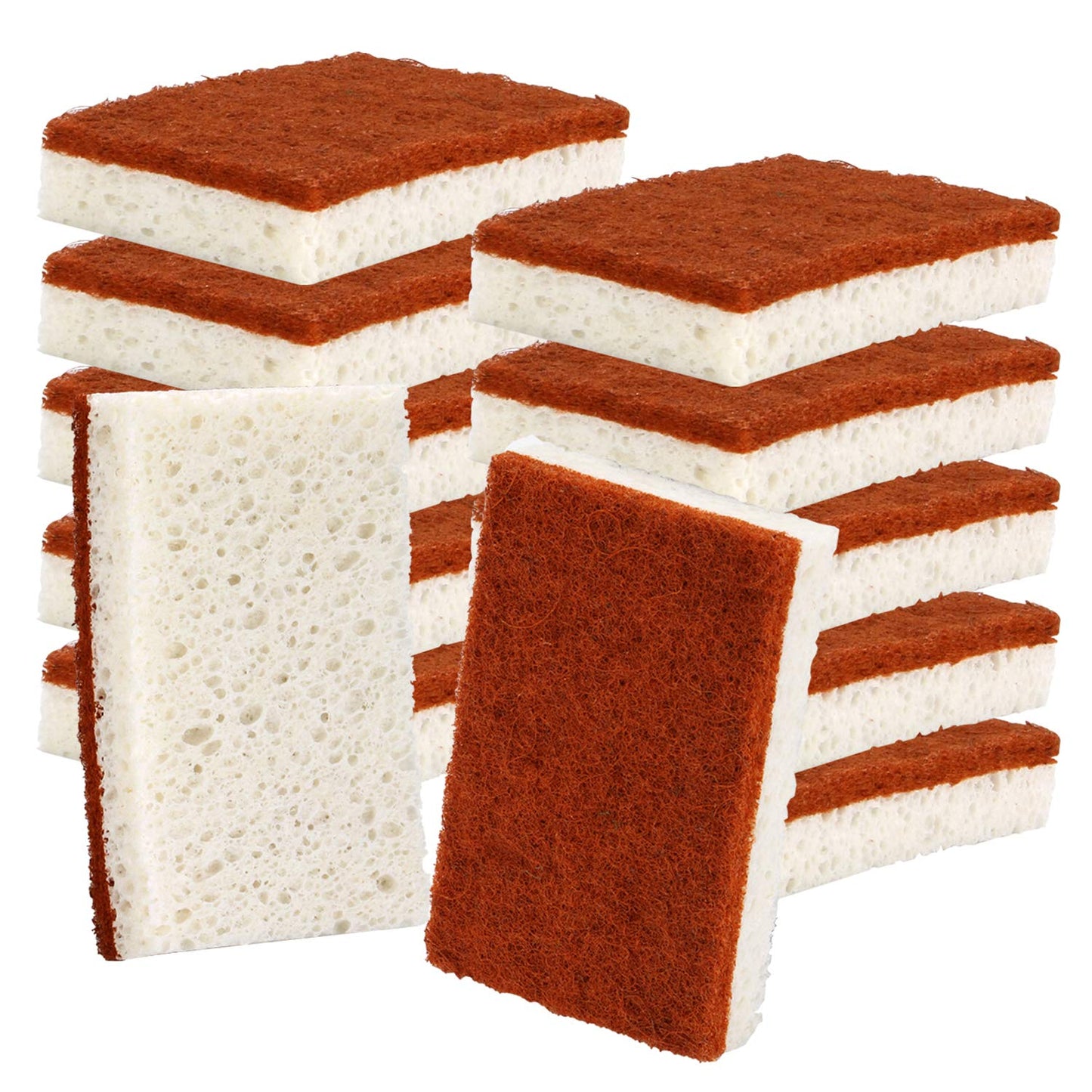 PANYEE Plant-Based Palm Fiber Scrub Sponges — Non-Scratch & Biodegradable (12-Pack)